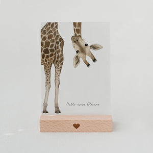 Postkarte Giraffe